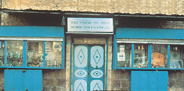 Salomon, Levin & Elstein LTD