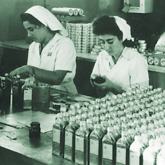 Teva Pliva manufacturing site
